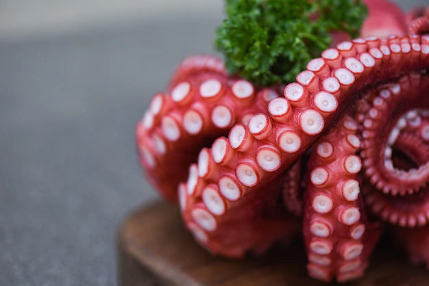 Squids