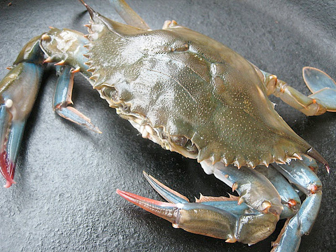 Crabs
