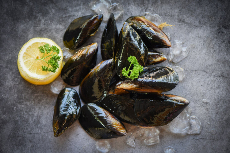Shellfish
