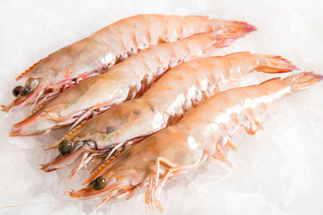 Prawns